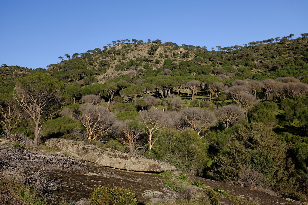 Pantano de San Juan
