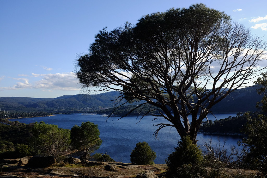 Pantano de San Juan