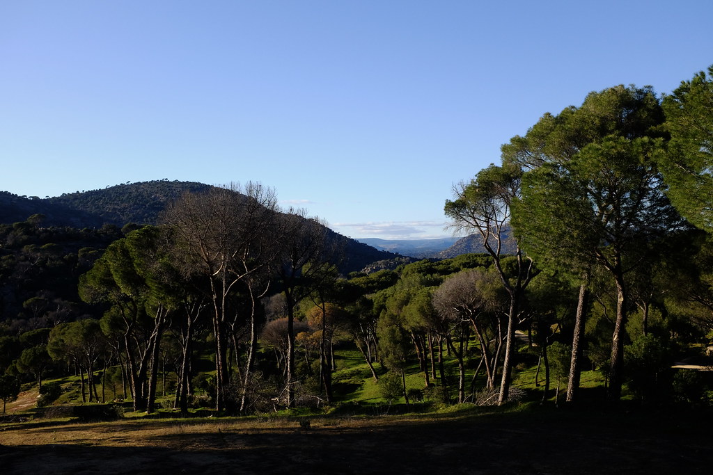 Pantano de San Juan