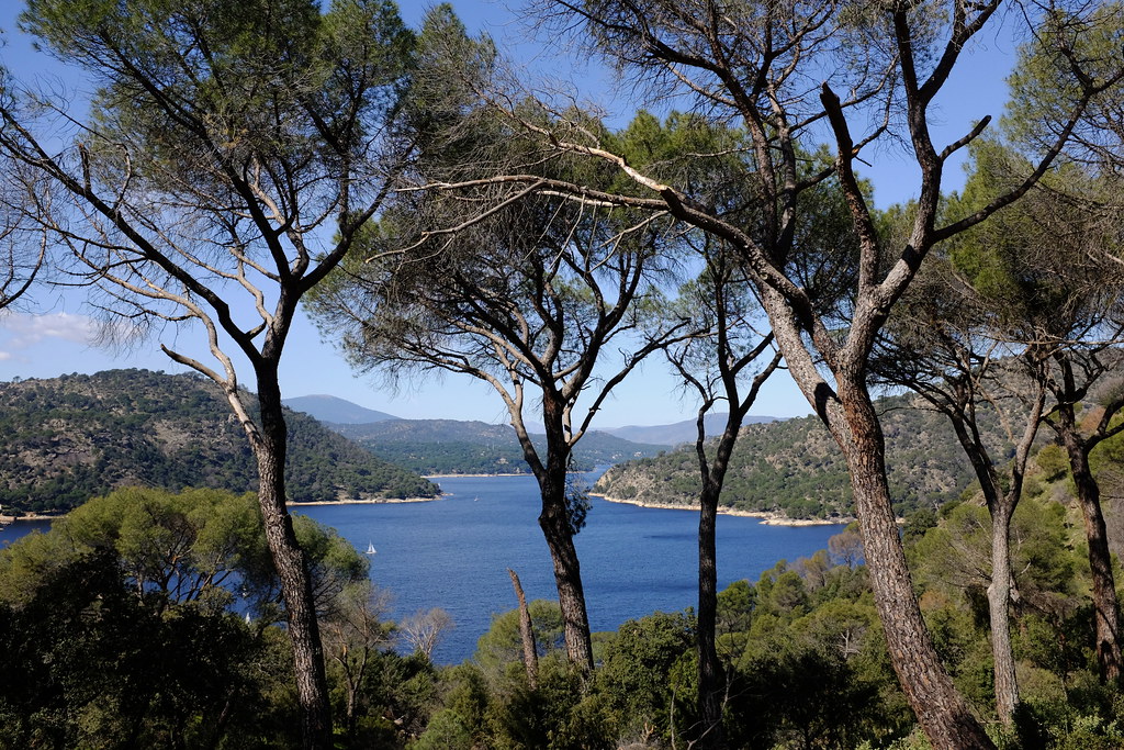 Pantano de San Juan