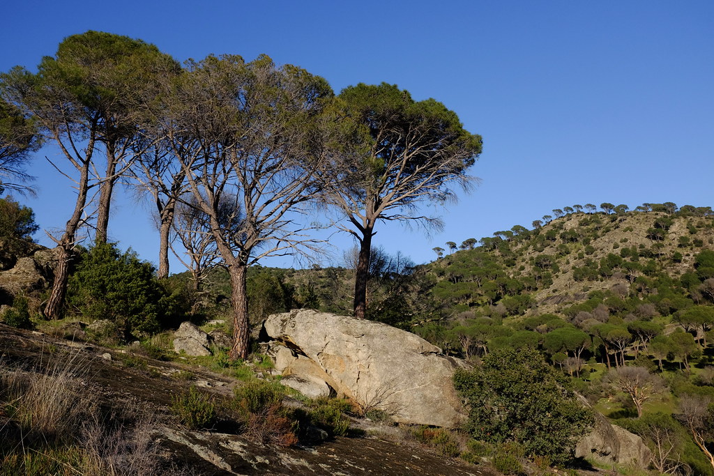 Pantano de San Juan
