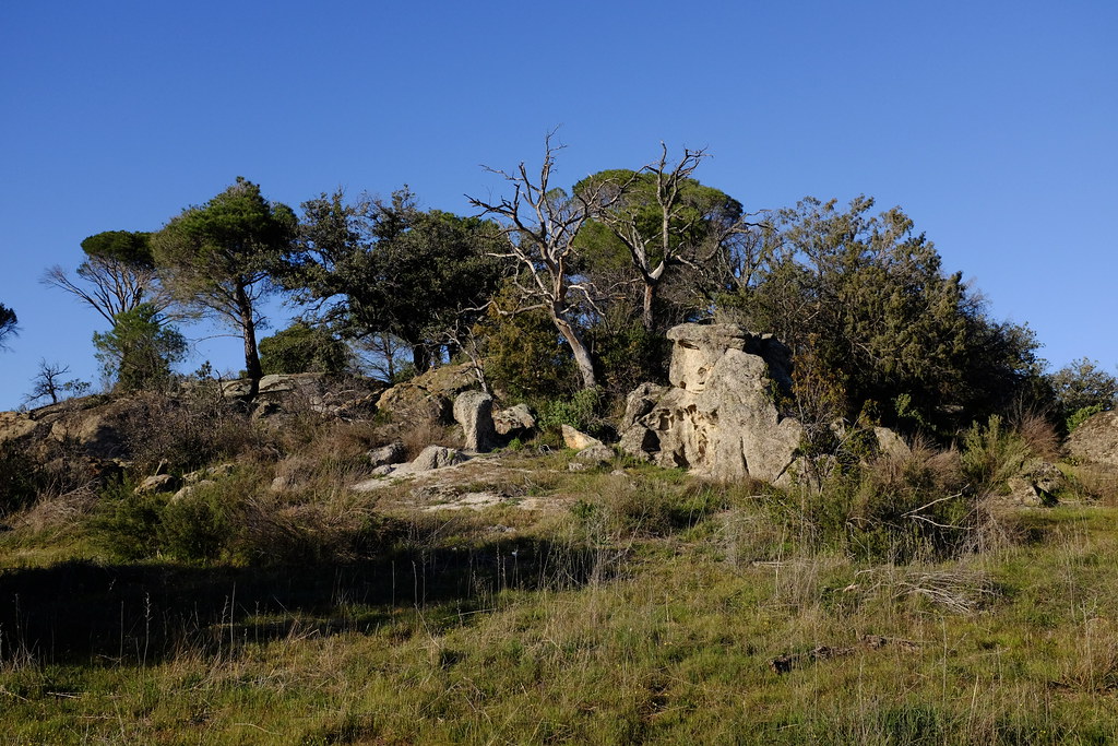 Pantano de San Juan