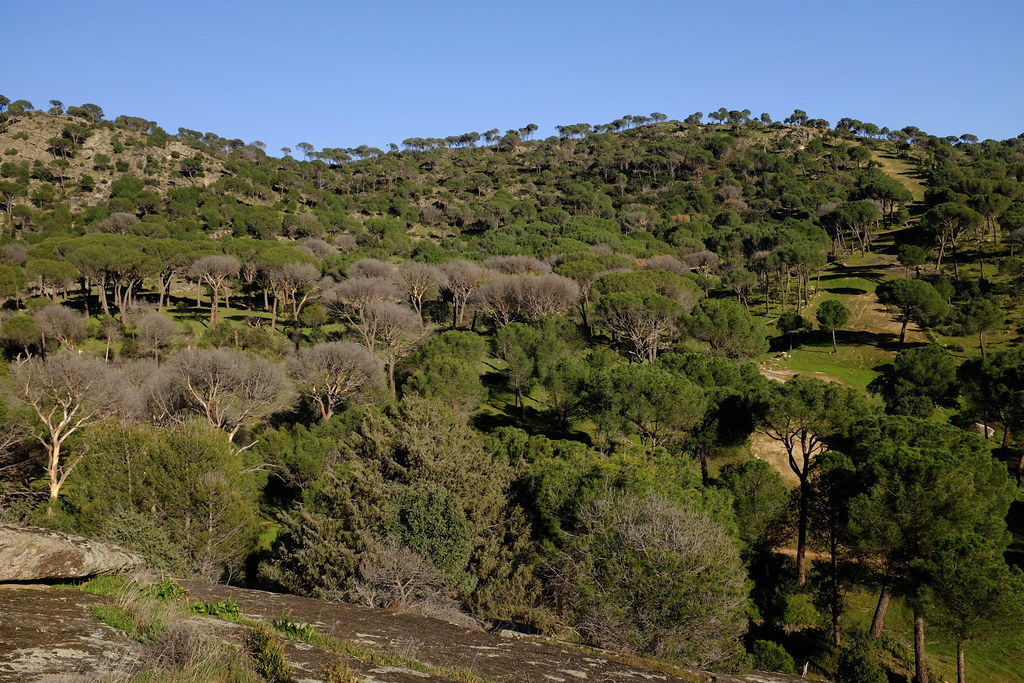 Pantano de San Juan