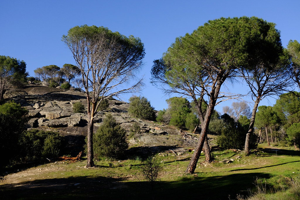 Pantano de San Juan