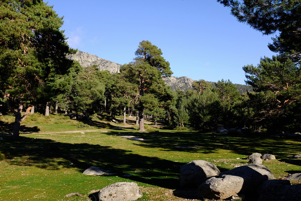 Sierra de Guadarrama