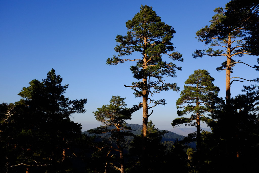 Sierra de Guadarrama