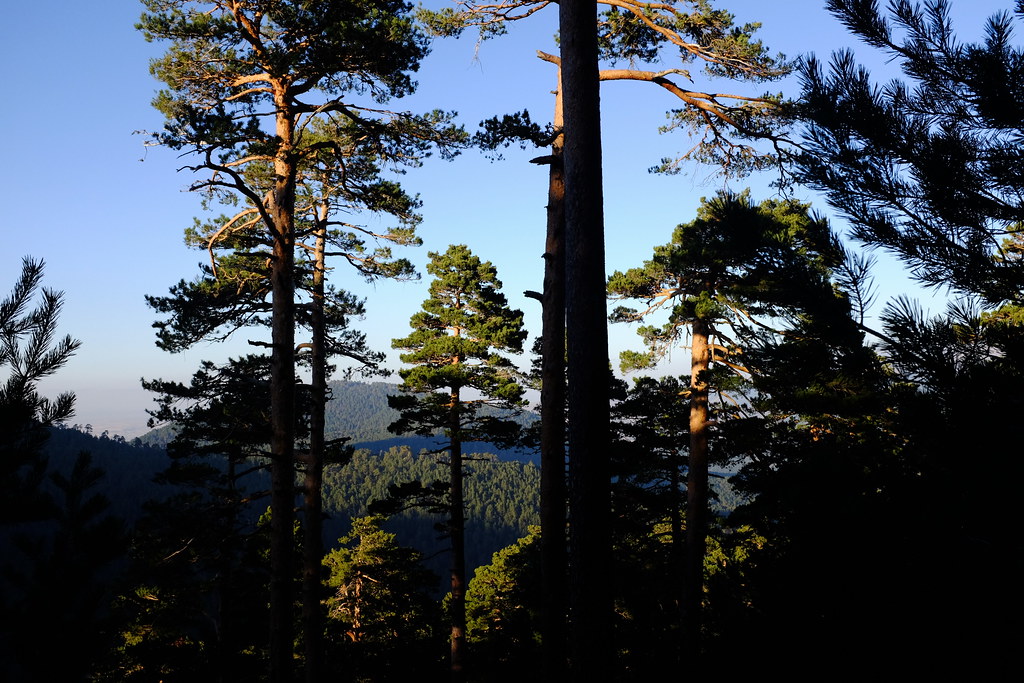 Sierra de Guadarrama