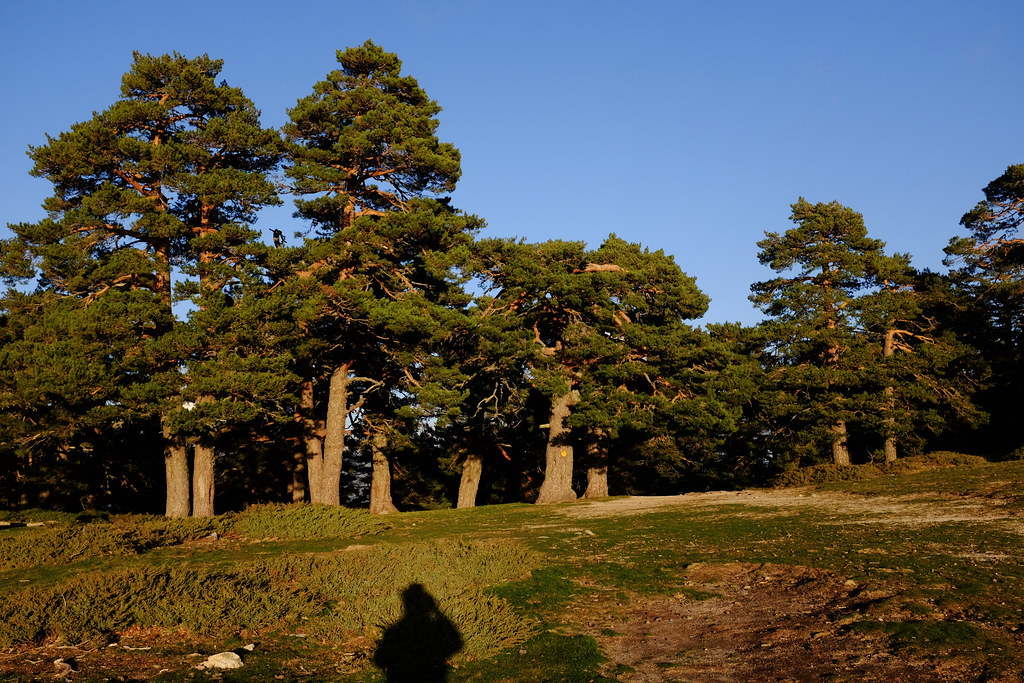 Sierra de Guadarrama