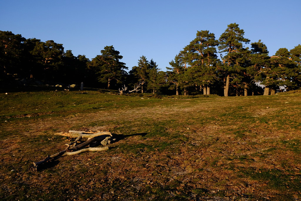 Sierra de Guadarrama