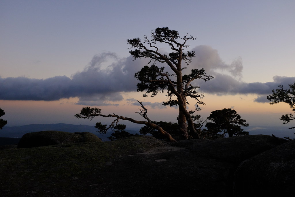 Sierra de Guadarrama