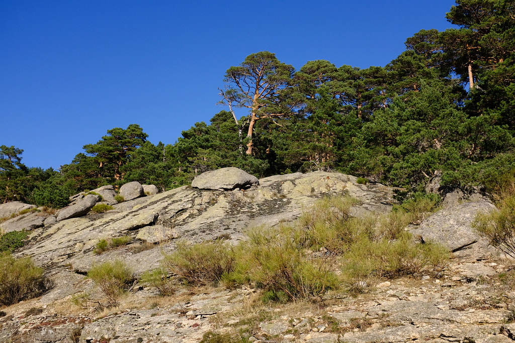 Sierra de Guadarrama