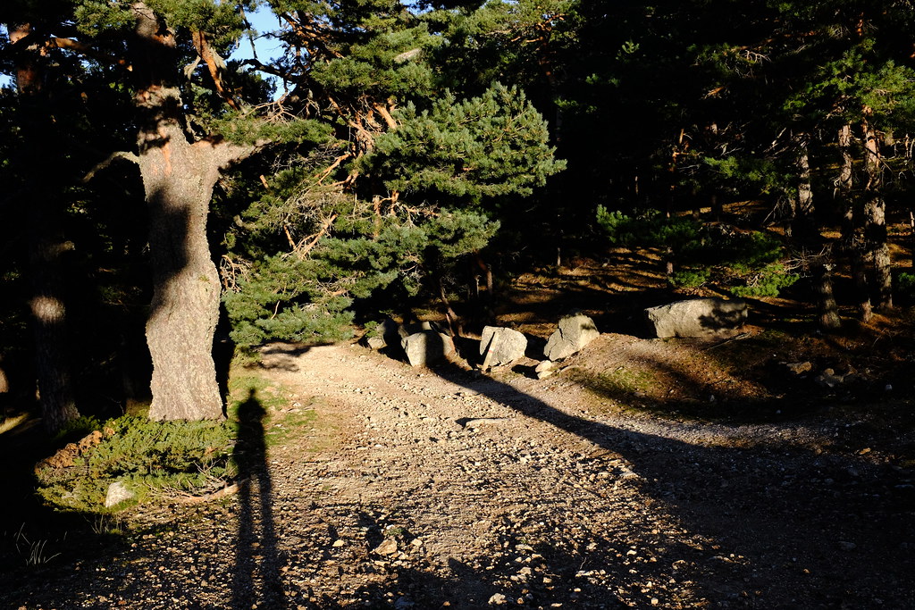 Sierra de Guadarrama