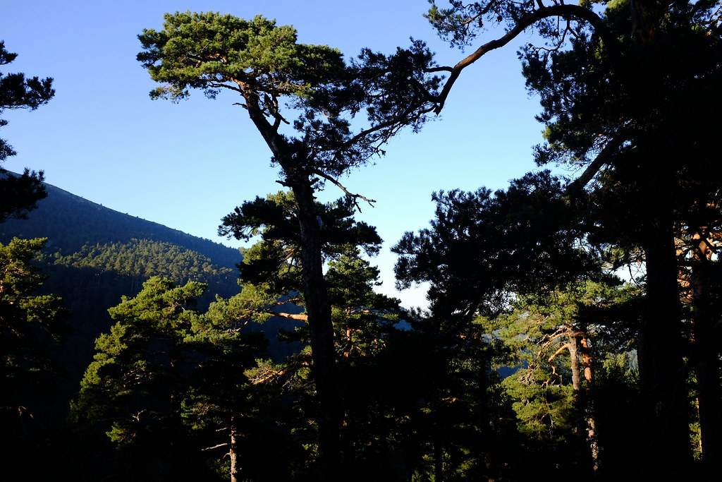 Sierra de Guadarrama