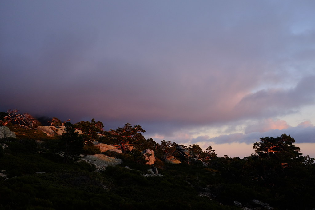 Sierra de Guadarrama