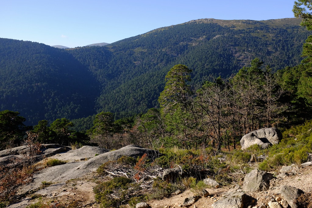 Sierra de Guadarrama