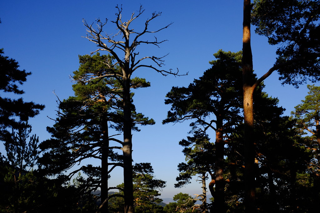 Sierra de Guadarrama