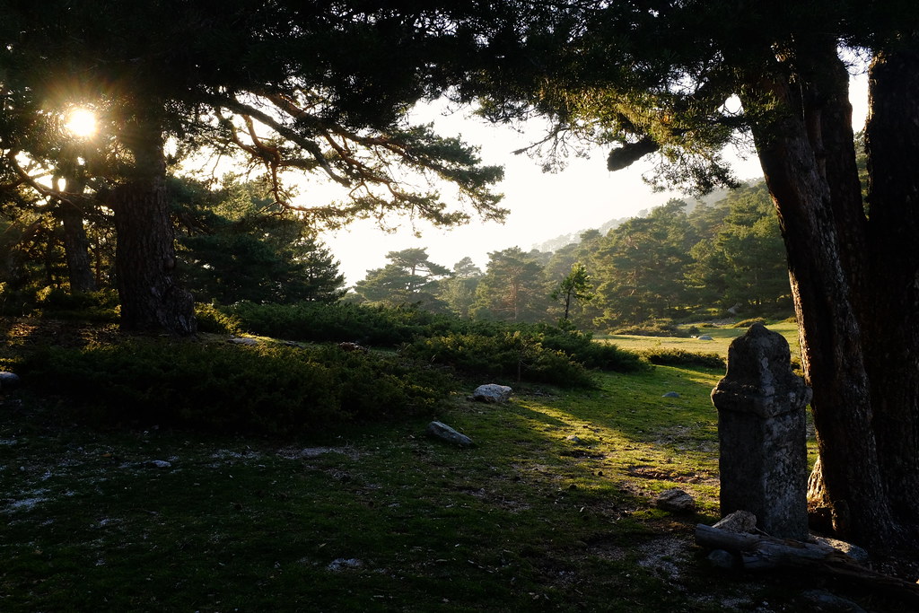 Sierra de Guadarrama
