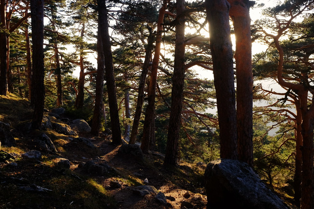 Sierra de Guadarrama