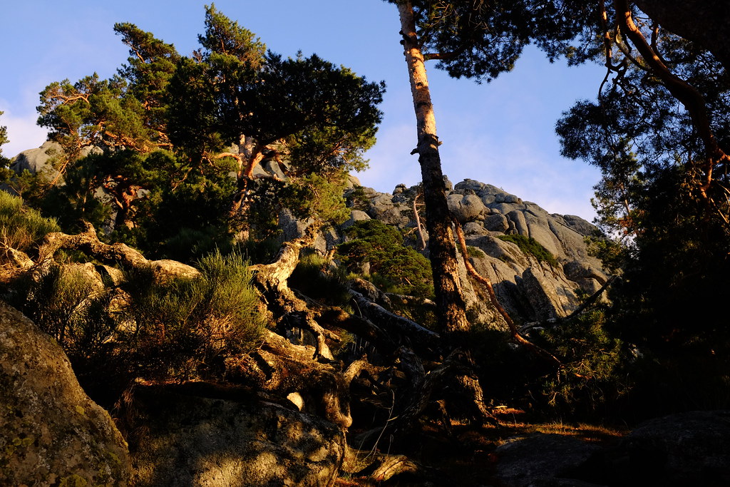 Sierra de Guadarrama