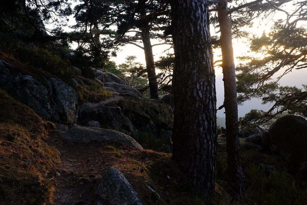 Sierra de Guadarrama