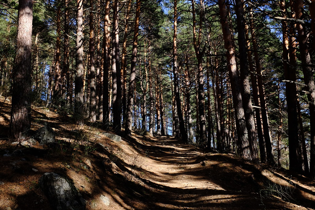 Sierra de Guadarrama