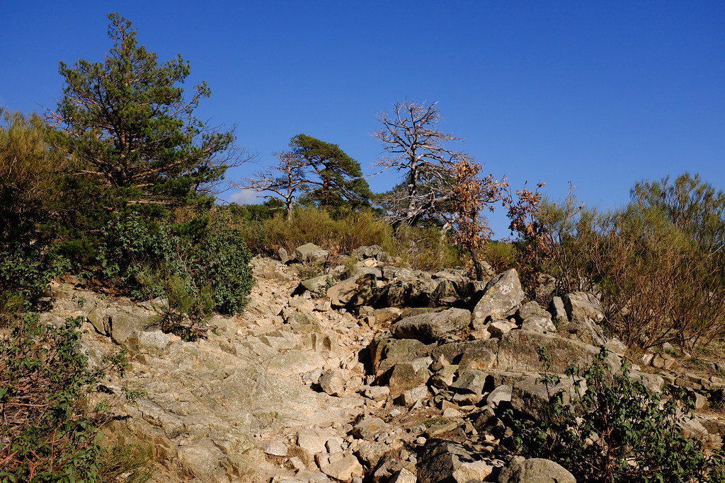 Sierra de Guadarrama