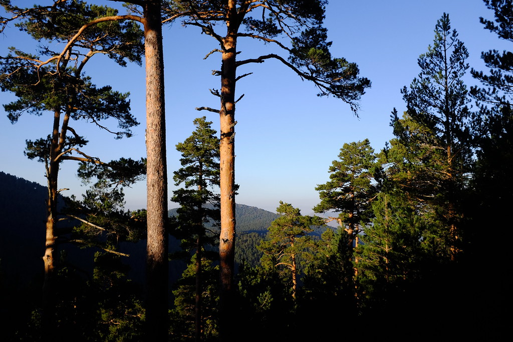 Sierra de Guadarrama