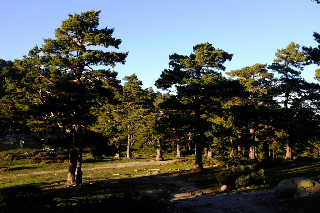 Sierra de Guadarrama