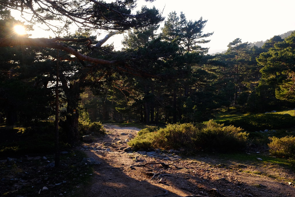 Sierra de Guadarrama