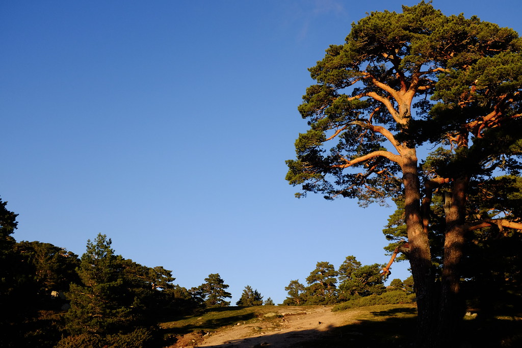 Sierra de Guadarrama