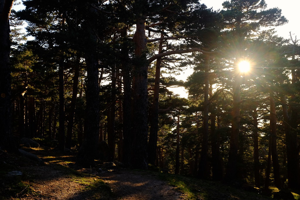 Sierra de Guadarrama