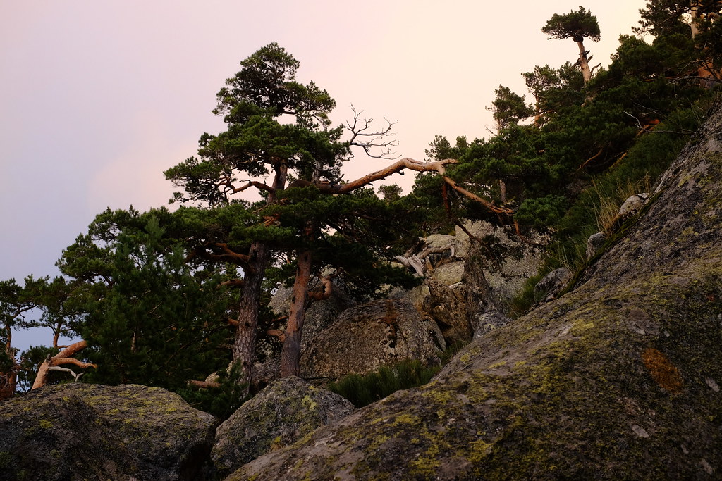 Sierra de Guadarrama