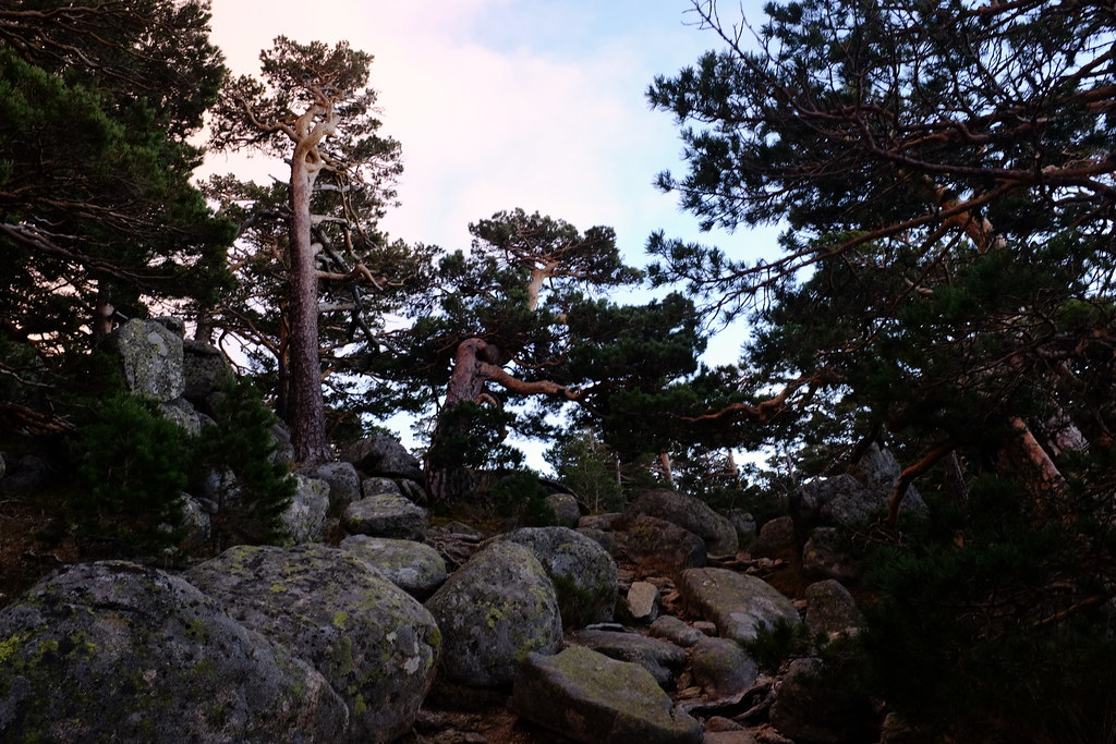 Sierra de Guadarrama