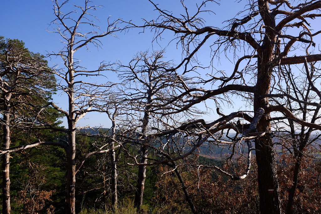Sierra de Guadarrama