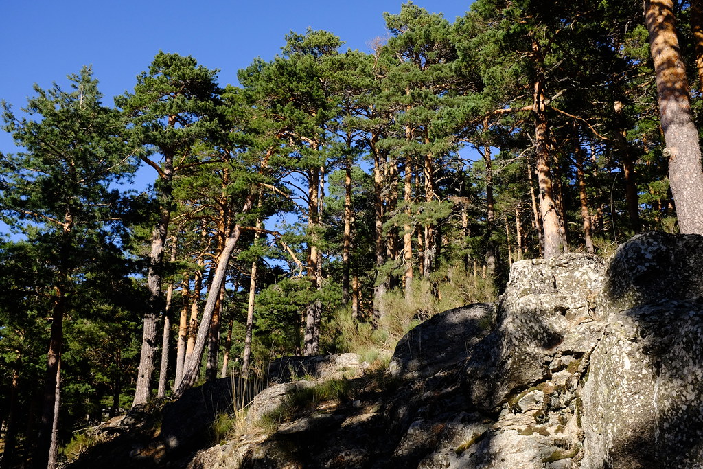 Sierra de Guadarrama