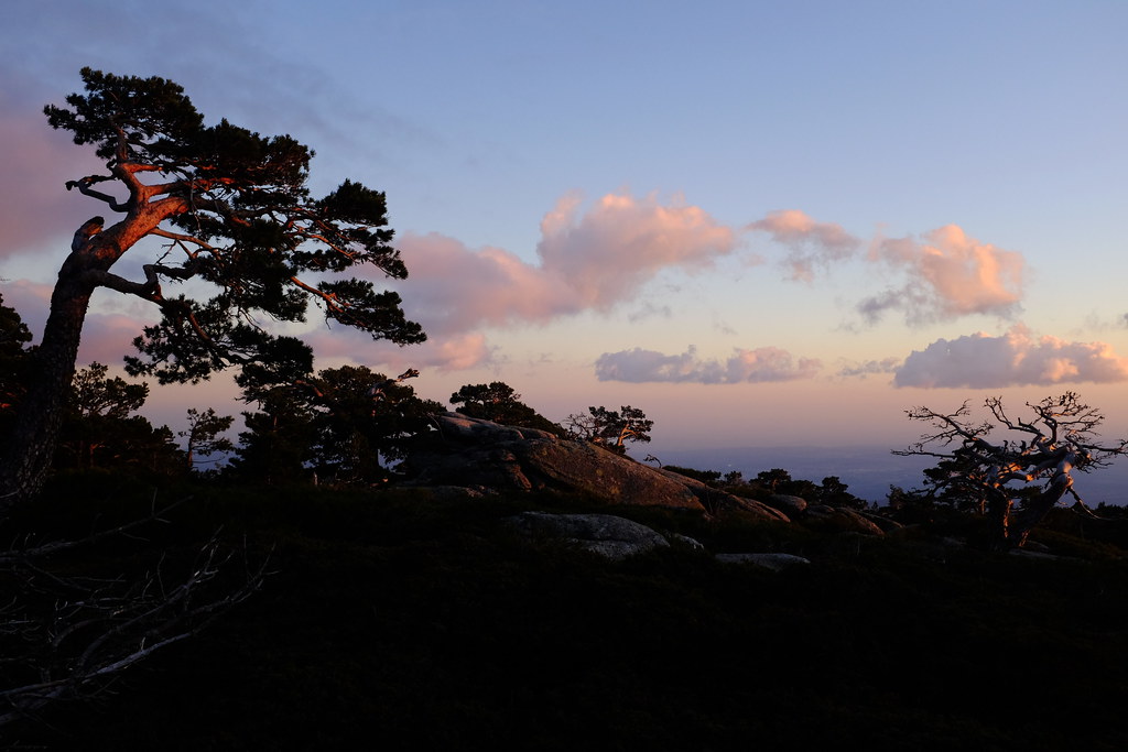 Sierra de Guadarrama