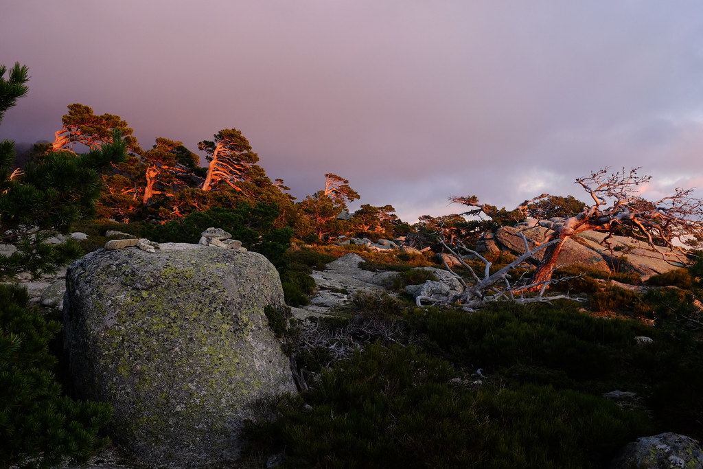 Sierra de Guadarrama
