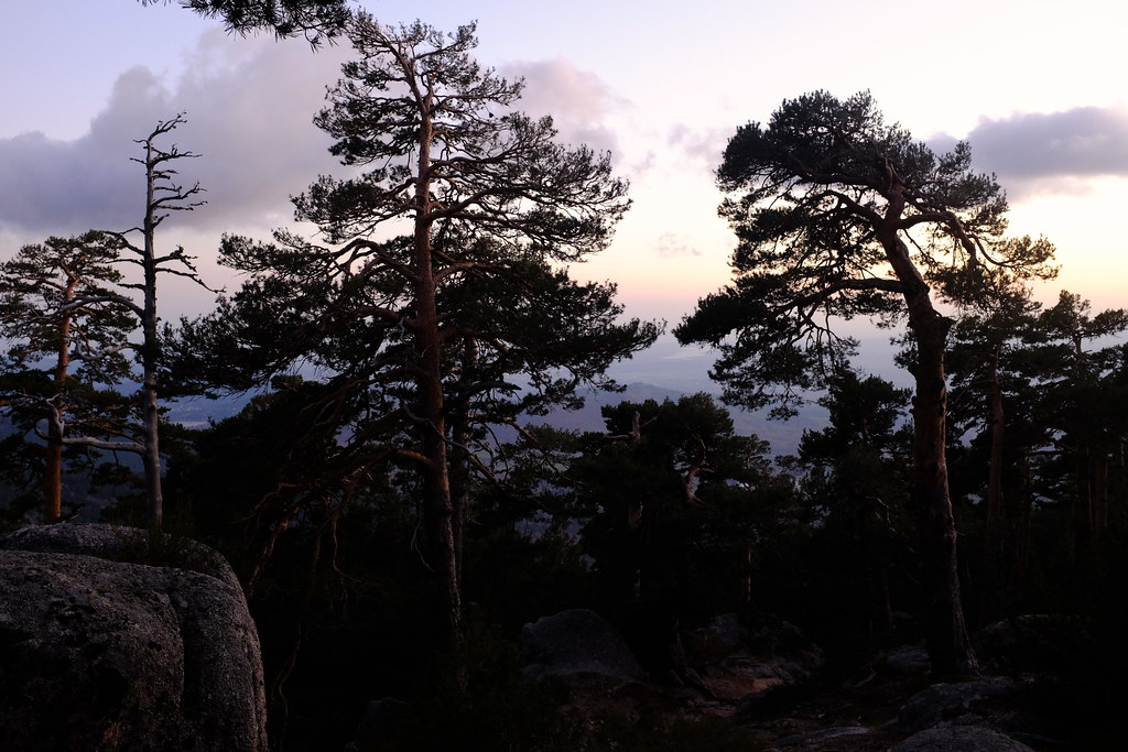 Sierra de Guadarrama