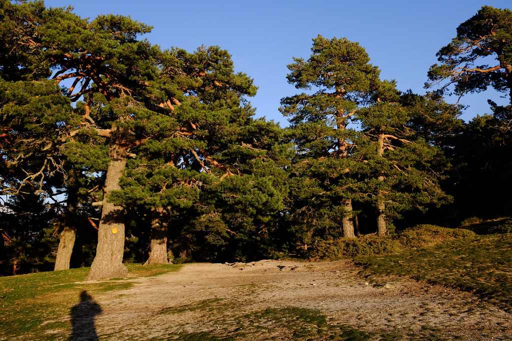 Sierra de Guadarrama