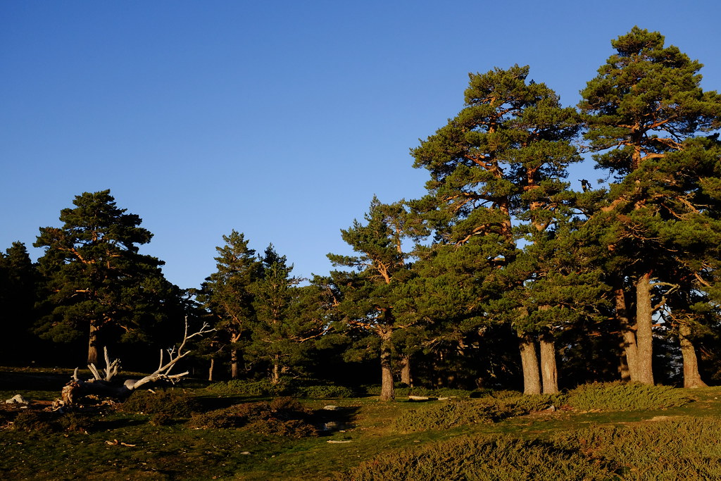 Sierra de Guadarrama