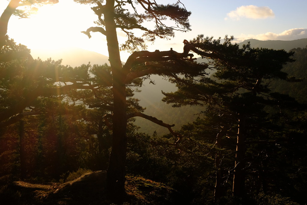 Sierra de Guadarrama