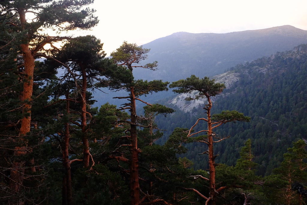 Sierra de Guadarrama