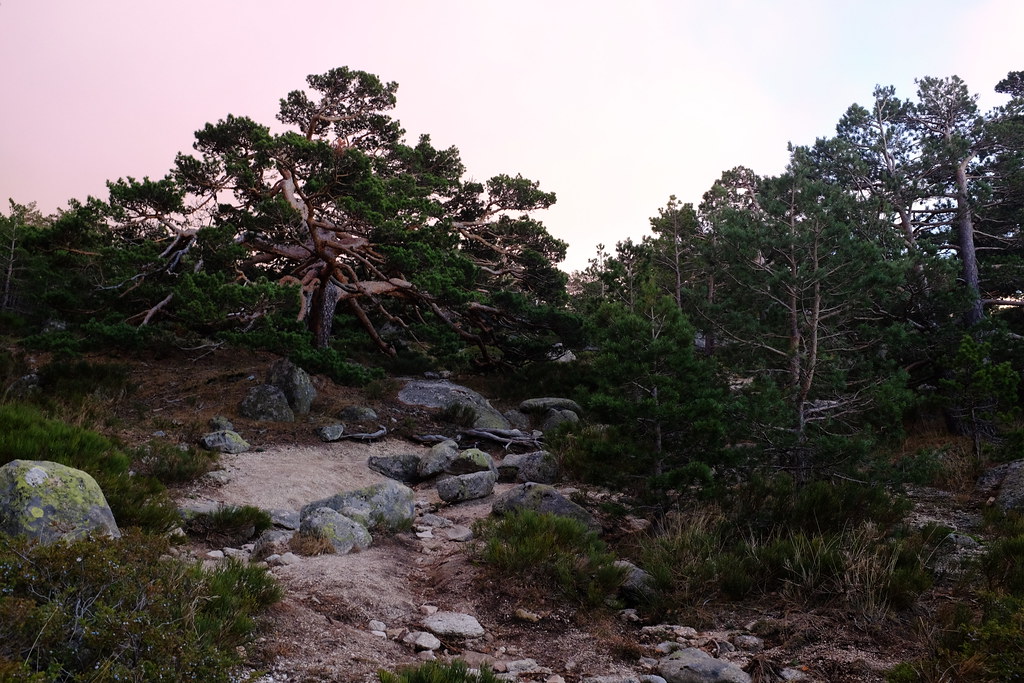 Sierra de Guadarrama