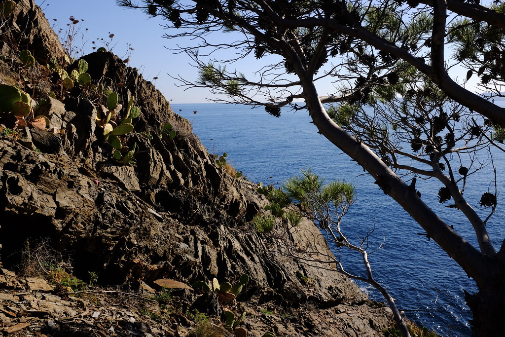 Camino de Portbou a Cerbere