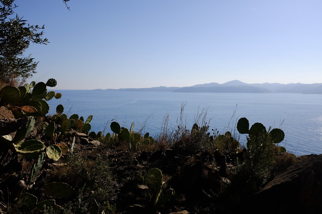 Camino de Portbou a Cerbere