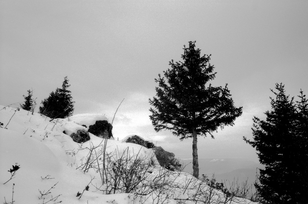 Montée dans la neige