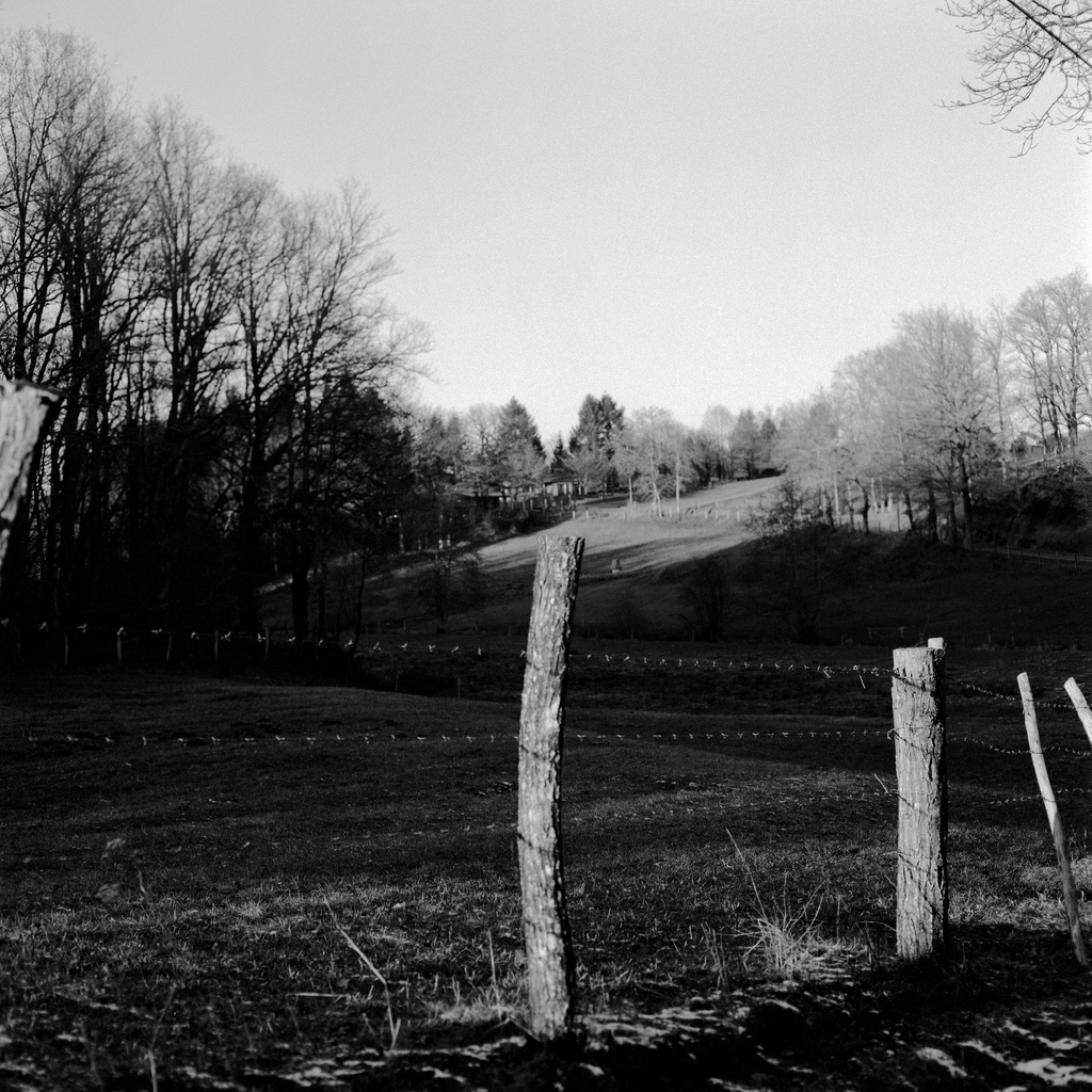 Un autre champ. &Agrave; la campagne il y a des champs partout.
