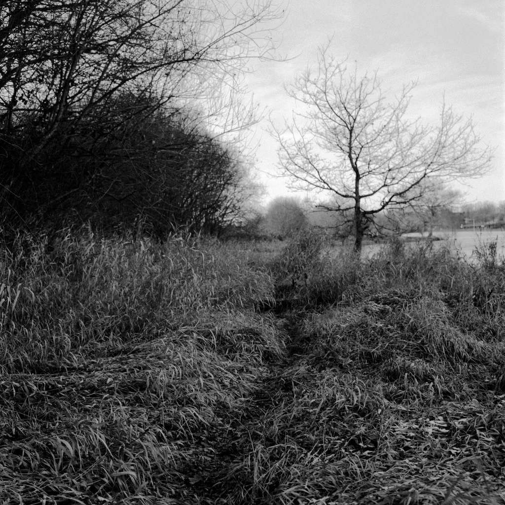 Chemin