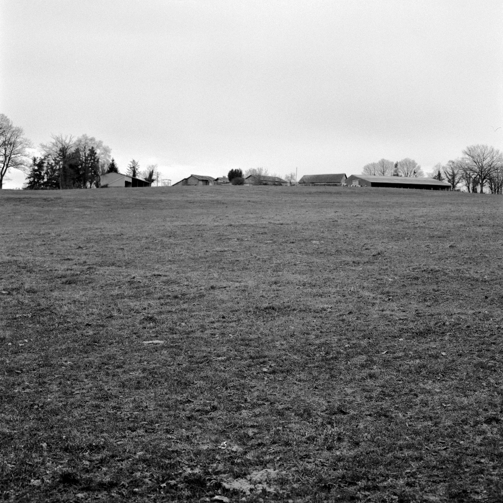 Une ferme