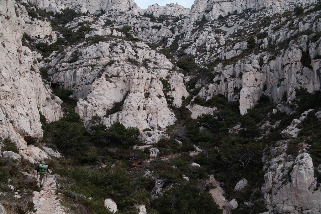 Chemin au bord de la mer